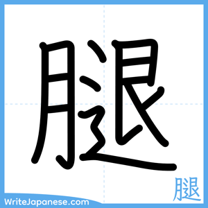 How to write "腿" - complete stroke order