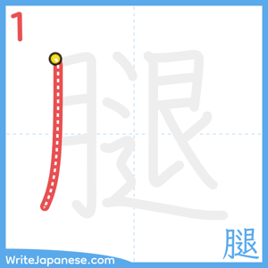 How to write "腿" - stroke 1