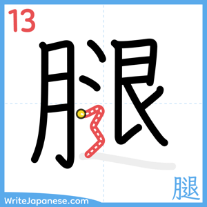 How to write "腿" - stroke 13