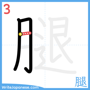 How to write "腿" - stroke 3
