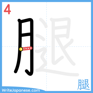 How to write "腿" - stroke 4