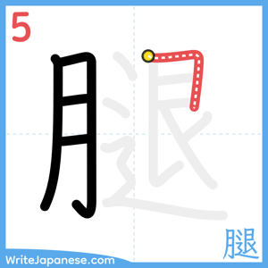 How to write "腿" - stroke 5