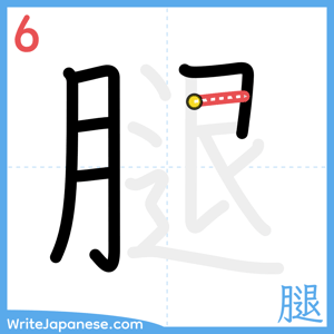 How to write "腿" - stroke 6
