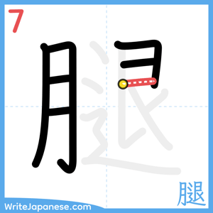 How to write "腿" - stroke 7