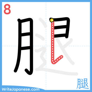 How to write "腿" - stroke 8