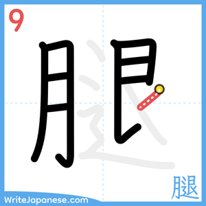 How to write "腿" - stroke 9