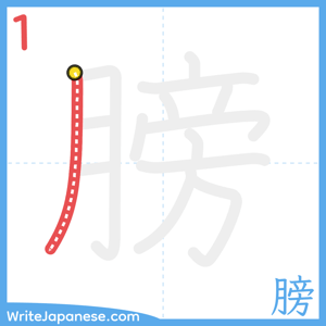 How to write "膀" - stroke 1