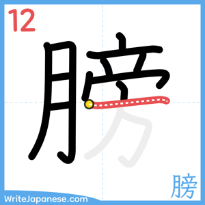 How to write "膀" - stroke 12