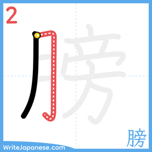 How to write "膀" - stroke 2