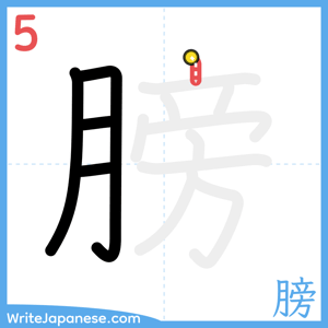 How to write "膀" - stroke 5