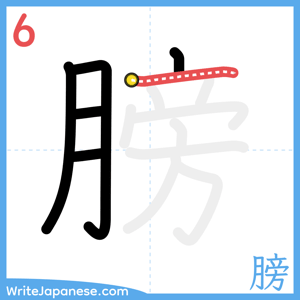 How to write "膀" - stroke 6