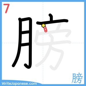 How to write "膀" - stroke 7