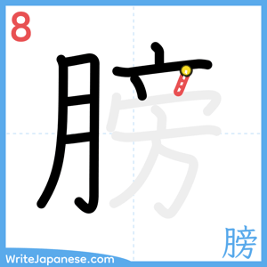 How to write "膀" - stroke 8