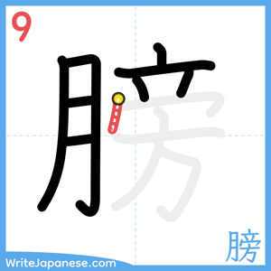 How to write "膀" - stroke 9