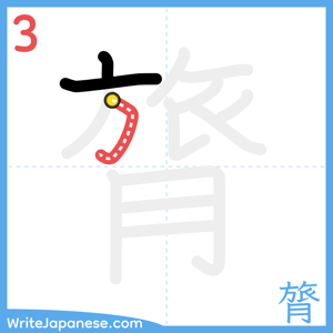 How to write "膂" - stroke 3