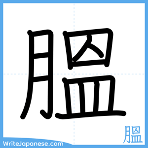 How to write "膃" - complete stroke order