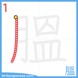 How to write "膃" - stroke 1