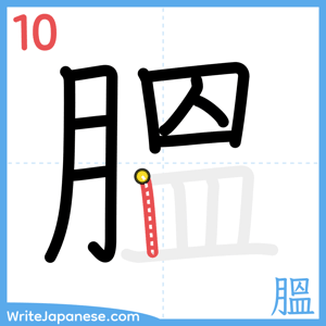 How to write "膃" - stroke 10