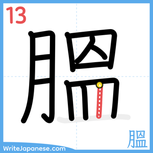 How to write "膃" - stroke 13