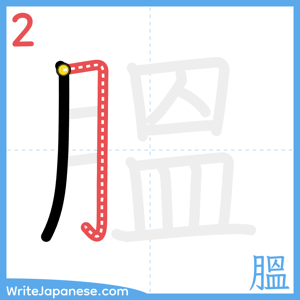 How to write "膃" - stroke 2