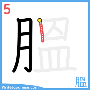 How to write "膃" - stroke 5