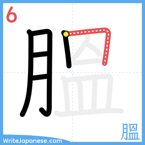 How to write "膃" - stroke 6