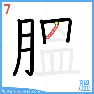 How to write "膃" - stroke 7