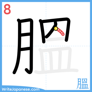 How to write "膃" - stroke 8