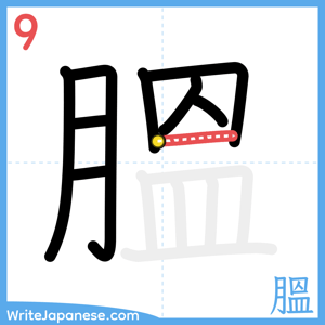 How to write "膃" - stroke 9