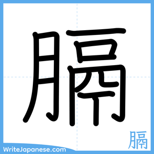 How to write "膈" - complete stroke order