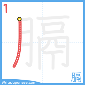 How to write "膈" - stroke 1