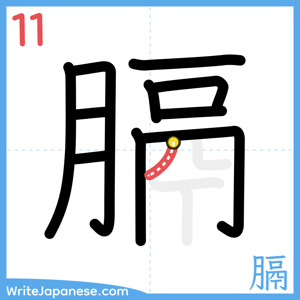 How to write "膈" - stroke 11