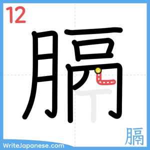 How to write "膈" - stroke 12
