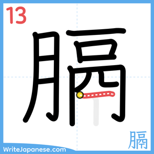 How to write "膈" - stroke 13