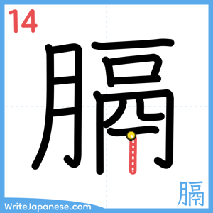 How to write "膈" - stroke 14