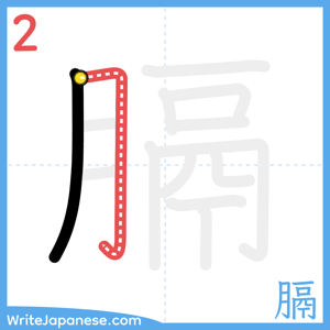 How to write "膈" - stroke 2