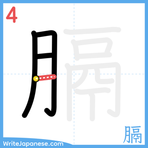 How to write "膈" - stroke 4