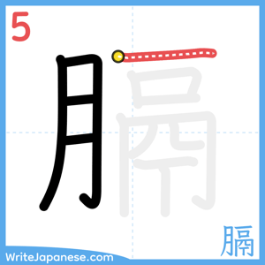 How to write "膈" - stroke 5