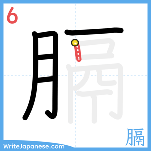 How to write "膈" - stroke 6