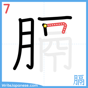 How to write "膈" - stroke 7