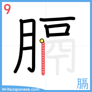 How to write "膈" - stroke 9