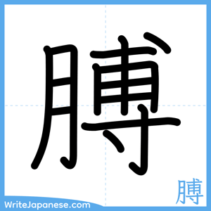 How to write "膊" - complete stroke order