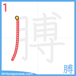 How to write "膊" - stroke 1