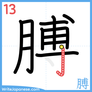 How to write "膊" - stroke 13