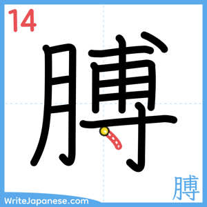 How to write "膊" - stroke 14
