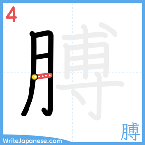 How to write "膊" - stroke 4