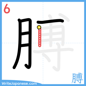 How to write "膊" - stroke 6