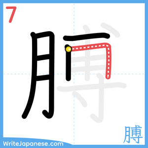 How to write "膊" - stroke 7