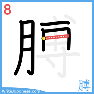 How to write "膊" - stroke 8