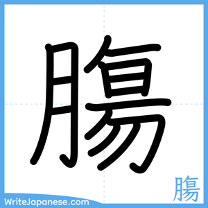 How to write "膓" - complete stroke order